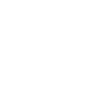 API INU