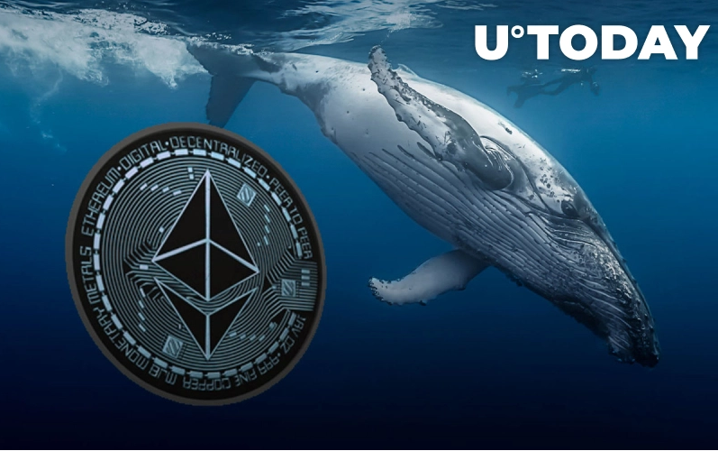 Ethereum-ის 39%-იანი ფასის კლებას თან ახლავს ვეშაპების ფართომასშტაბიანი შესყიდვები